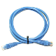 0.25m Cat5e Blue Patch Lead
